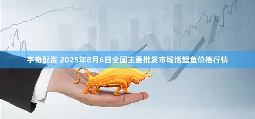 宇奇配资 2025年8月6日全国主要批发市场活鲤鱼价格行情