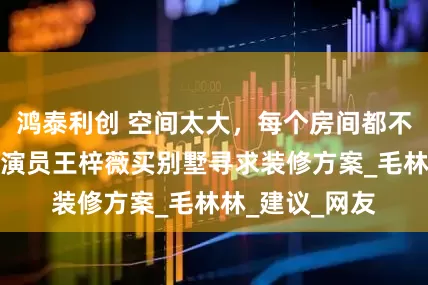 鸿泰利创 空间太大，每个房间都不知道怎么用，演员王梓薇买别墅寻求装修方案_毛林林_建议_网友